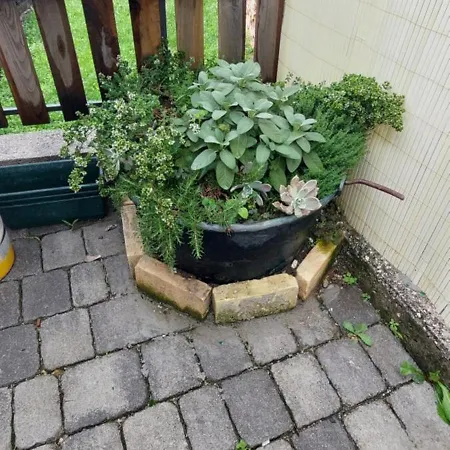 Bed & Breakfast Da Gi&jo *