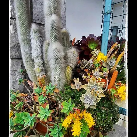 Da Gi&jo * Forgaria nel Friuli