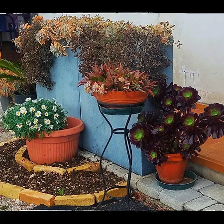 Bed & Breakfast Da Gi&jo Forgaria nel Friuli