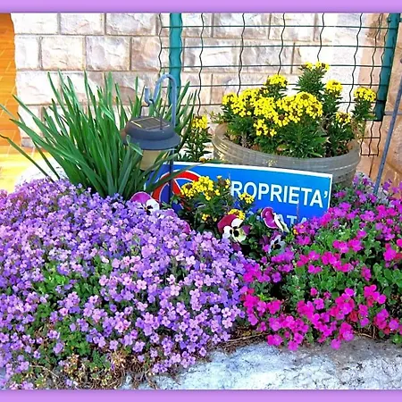 Bed & Breakfast Da Gi&jo Forgaria nel Friuli