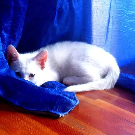 Bed & Breakfast Da Gi&jo *