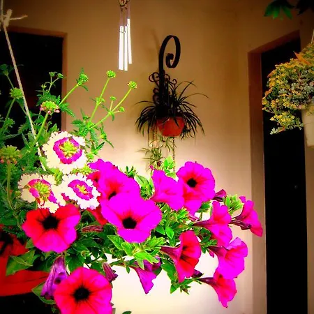 Da Gi&jo Bed & Breakfast