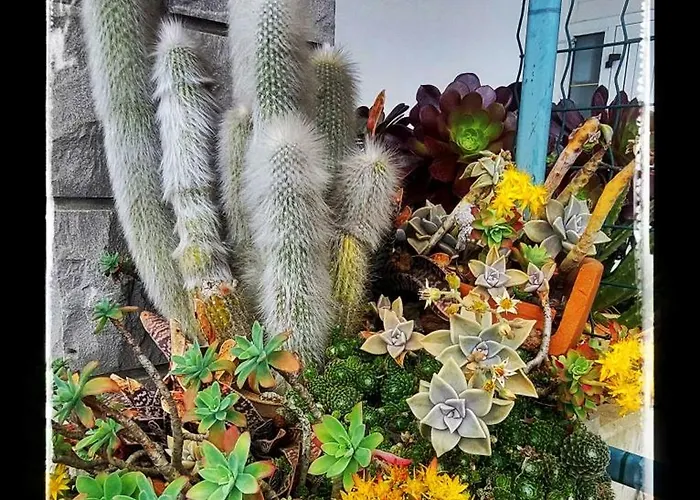 Da Gi&jo * Forgaria nel Friuli