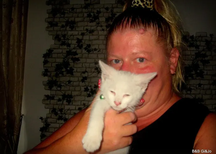 Da Gi&jo Panzió Forgaria nel Friuli