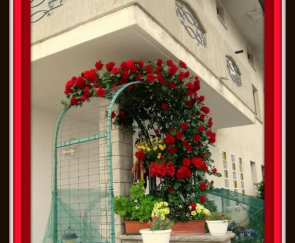 Da Gi&jo Forgaria nel Friuli